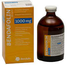  ( ) / BENDAFOLIN (Folinic acid)