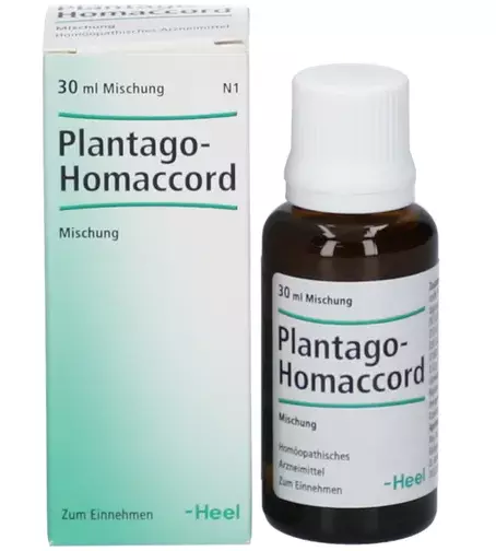 -  / PLANTAGO-Homaccord drops