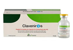  (+ ) / CLAVENIR (amoxicillin+clavulanic acid)