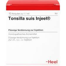    / TONSILLA Suis Injeel Ampullen