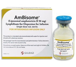 АМБИЗОМ (Амфотерицин B липосомальный) / AMBISOME (Amphotericin B Liposomal) 