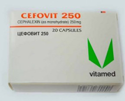  ( ) / CEFOVIT (Cephalexin monohydrate)