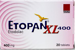  XL () /  ETOPAN XL (ETODOLAC)